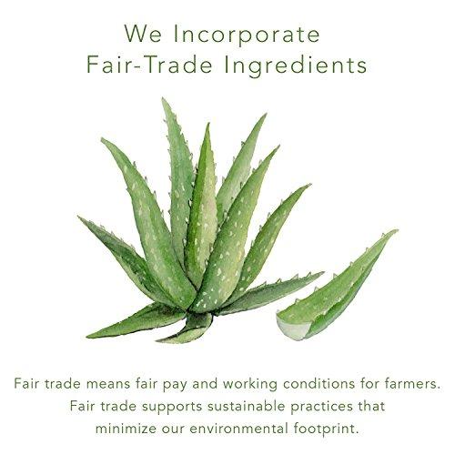 EmerginC emerginC 12% Vitamin C Facial Serum - Extra Strength Micro-Encapsulated Spheres to Help Address Visible Signs of Aging + Dark Spot (1 Ounce, 30 ml)