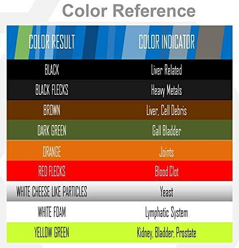 cellspa Cell Spa, Fir Belt Chi Ionic Ion Detox Machine Foot Bath Aqua Spa Cleanse With 2" Round Jade & 2" Round Ceramic Stone Powerful Boost Semi-Conductors of Negative Ions