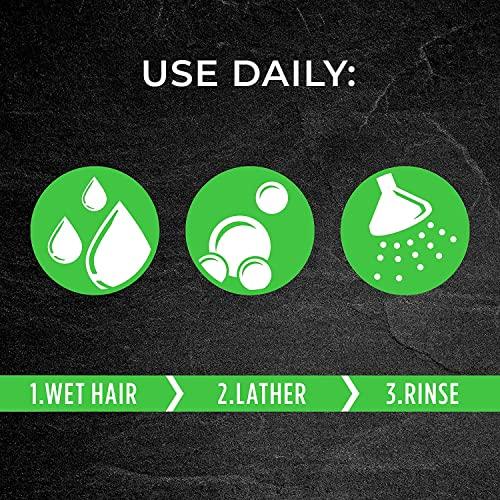 PERT PLUS Pert 2in1 Dandruff Away Size 13.5z Pert Plus Dandruff Away Shampoo