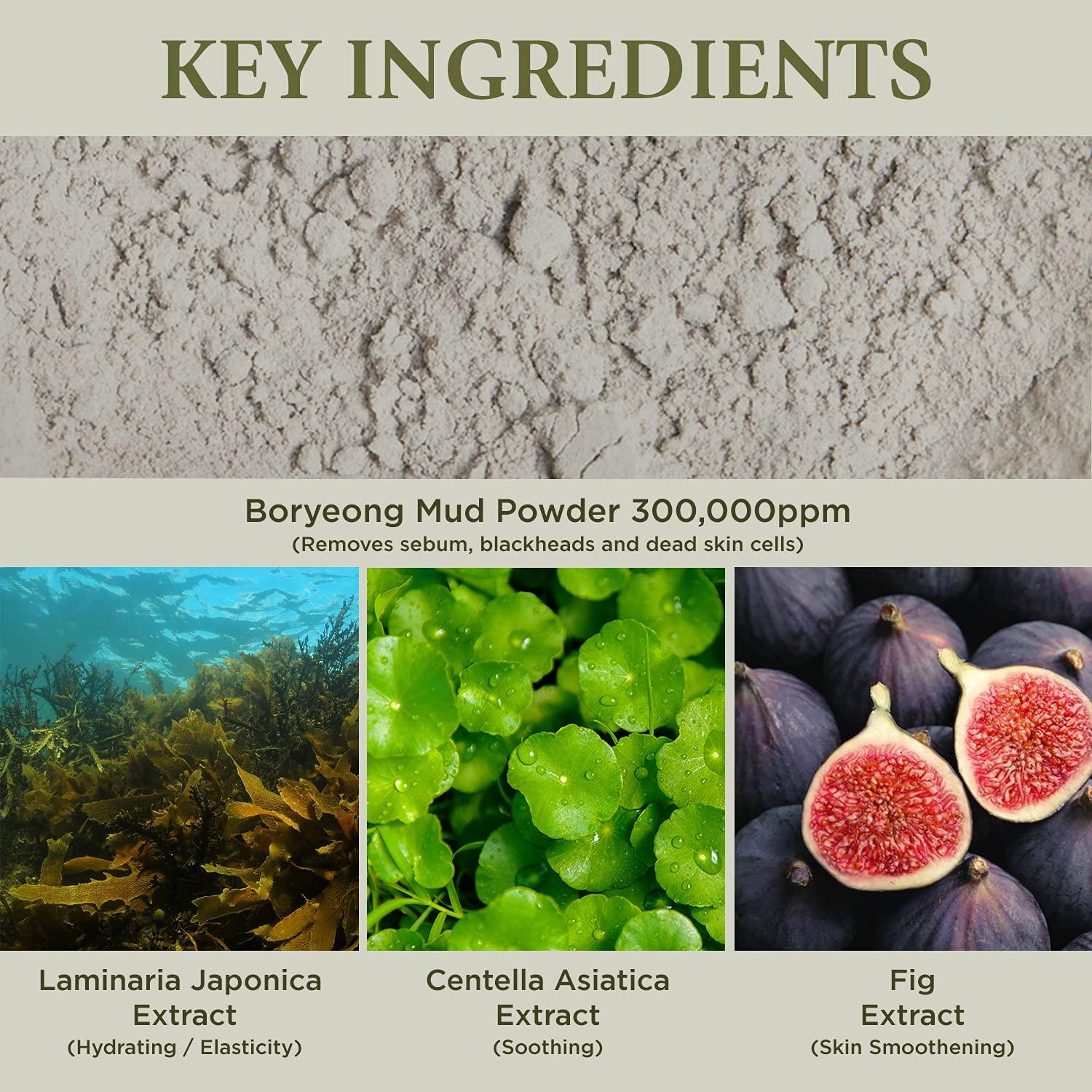 BRMUD BRMUD Boryeong Mud Clay Face Mask, Pore Reducer & Minimizer, Blackhead, Acne Control for Oily Skin, Redness Relief and Skin Tightening Mask for Women and Men - Recovery Mud Mask 110ml (3.72 fl.oz.)