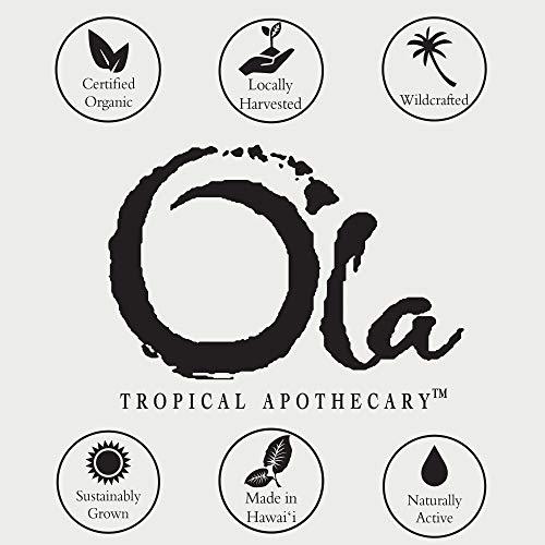 Tropical Apothecary Ola Tropical Apothecary Passion Fruit Scented Hawaiian Sea Salt Bath Rituals - 2 oz
