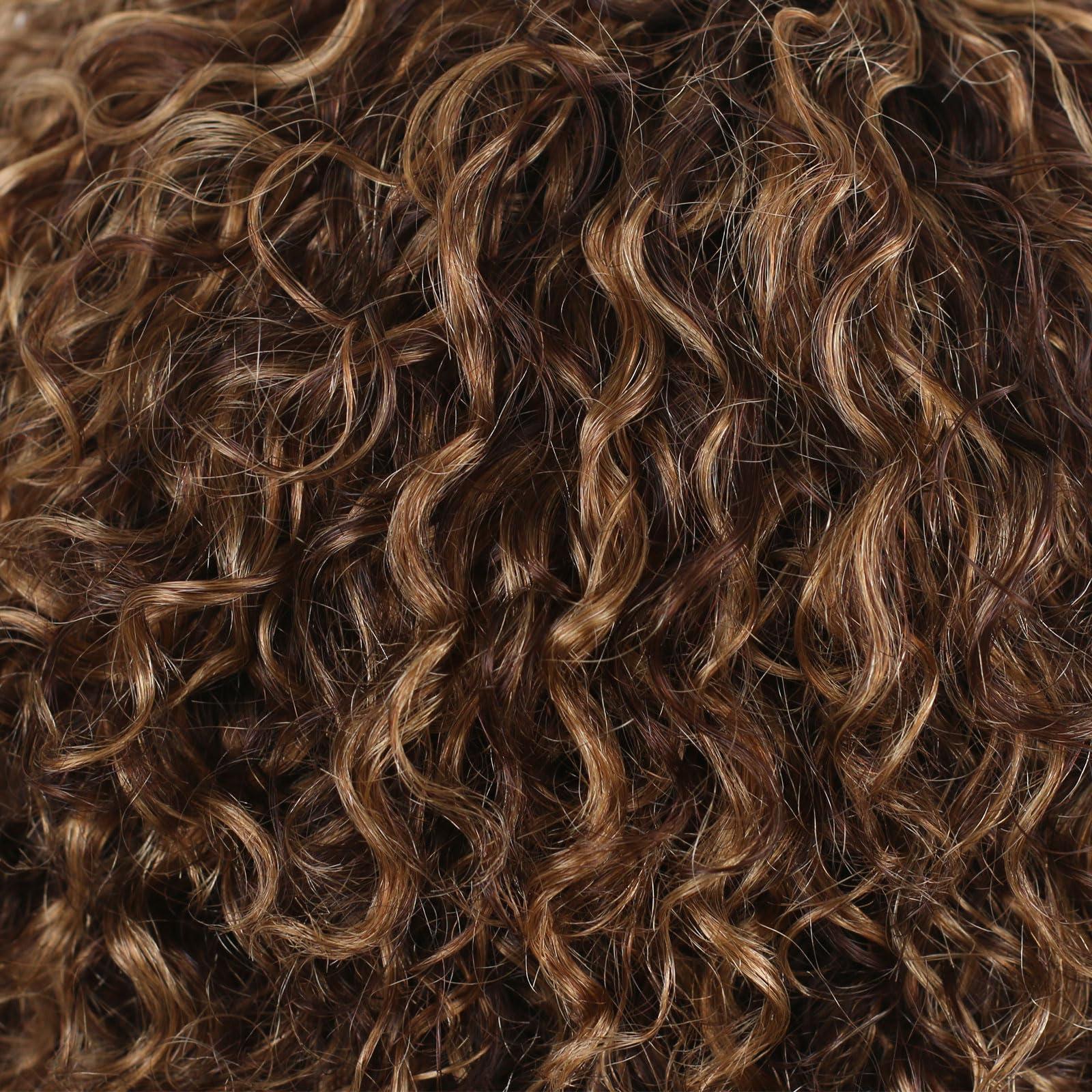 ManeMajesty ManeMajesty 8 Inch Ombre Curly Human Hair Wigs for Black Women Short Kinky Curly Afro Glueless Wig Highlight Brown Mixed Honey Blonde Side Part Jerry Curl Wig -100% Brazilian Human Hair P4/27