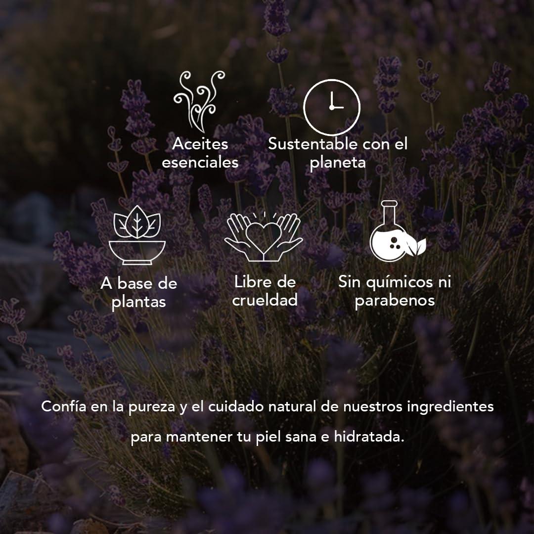 Dr. Natural Dr. Natural Castile Body Lotion - Lavender for Unisex - 16 oz Body Lotion