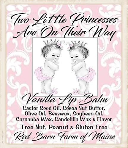 Red Barn Farm of Maine 10 TWIN GIRL Lip Balm Baby Shower Party Favors
