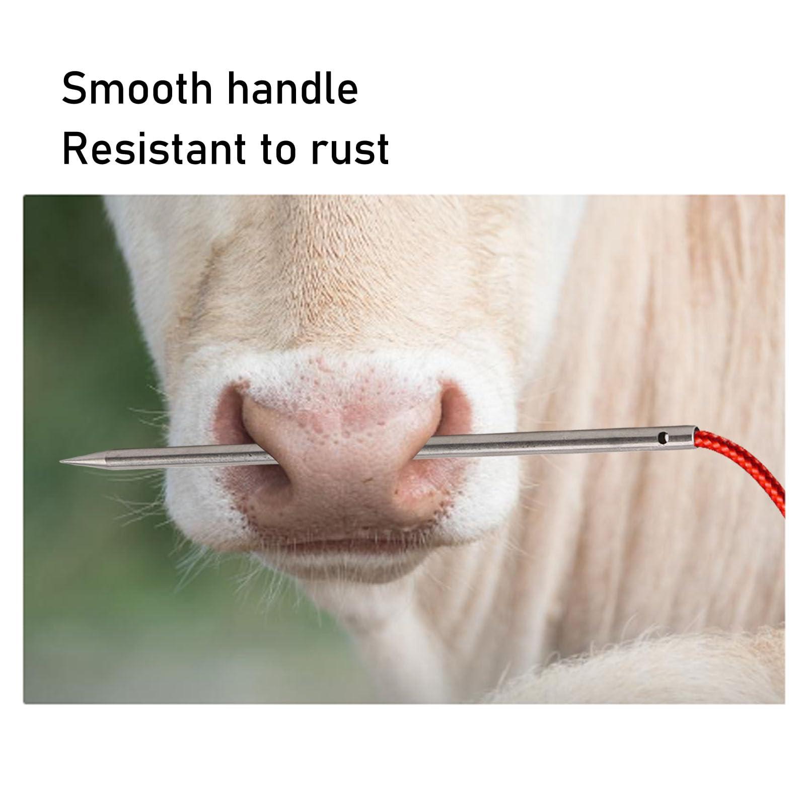 MAVIS LAVEN Cow Nose Piercing Needle, 304 Stainless Steel Cattle Nose Piercing Needle with Hole for Farm Home Cattle Nose Piercing (M)