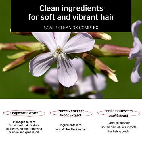 APLB APLB Premium Retention Shampoo 16.91fl.oz. / Infused with Silk, Sage, Henna Soapwort Extracts, Helps to protect and moisturize for shiny hair