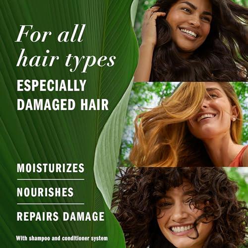Herbal Essences Herbal Essences Brand, Hair Repair Shampoo and Conditioner Set, Argan and Camellia Oil, Paraben Free, For All Hair Types, 27 Fl Oz (Dual Pack)