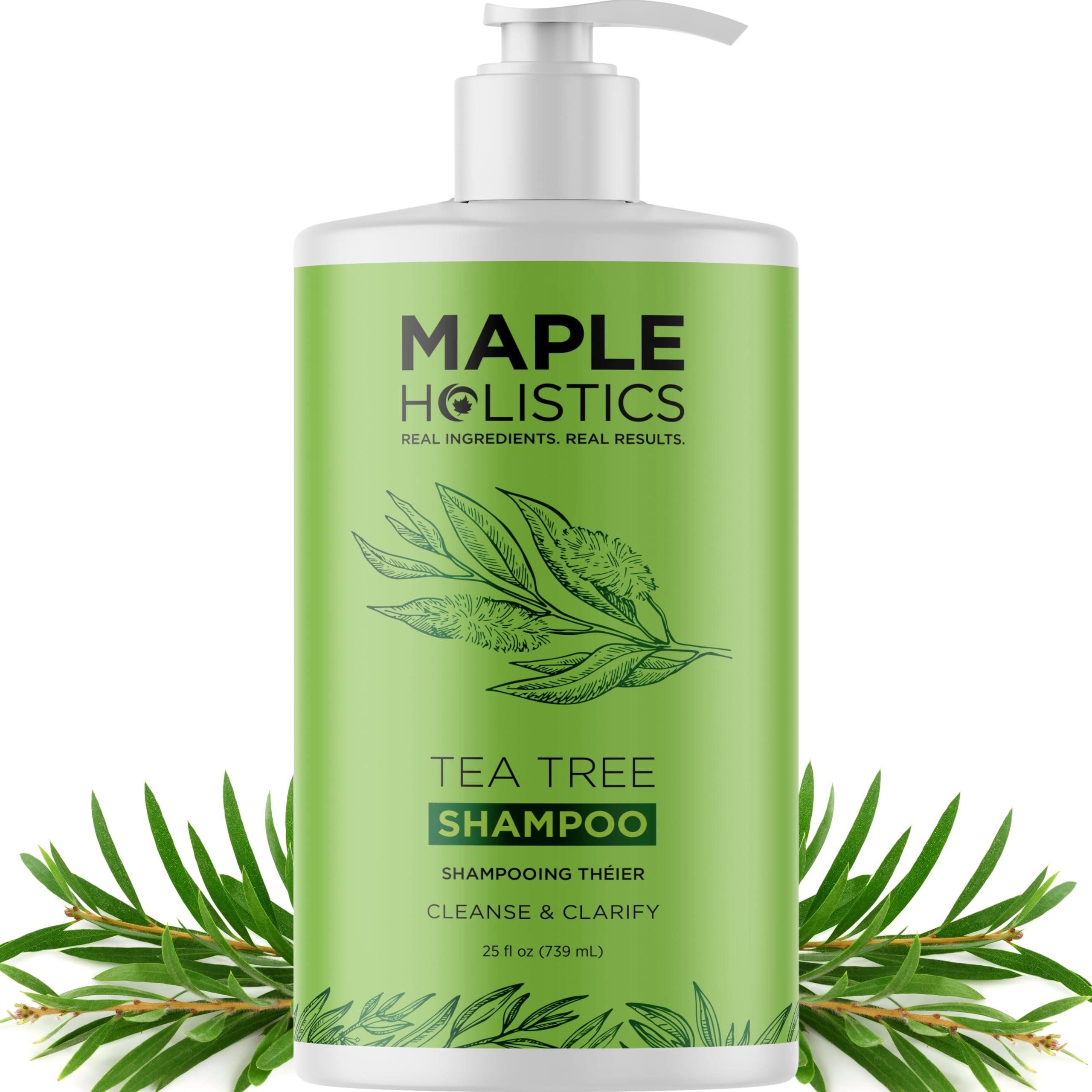 Maple Holistics Maple Holistics Tea Tree Oil Shampoo Sulfate Free - Deep Cleansing Vegan Tea Tree Shampoo for Oily Hair and Scalp - Daily for Build up with Rosemary Essential Oil for All Hair Types 25 Fl Oz