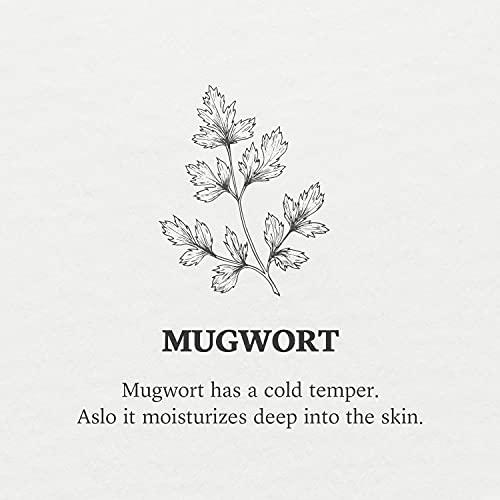 AIDA AIDA Mugwort 83 ampoule AC Clear complex, Pore Care