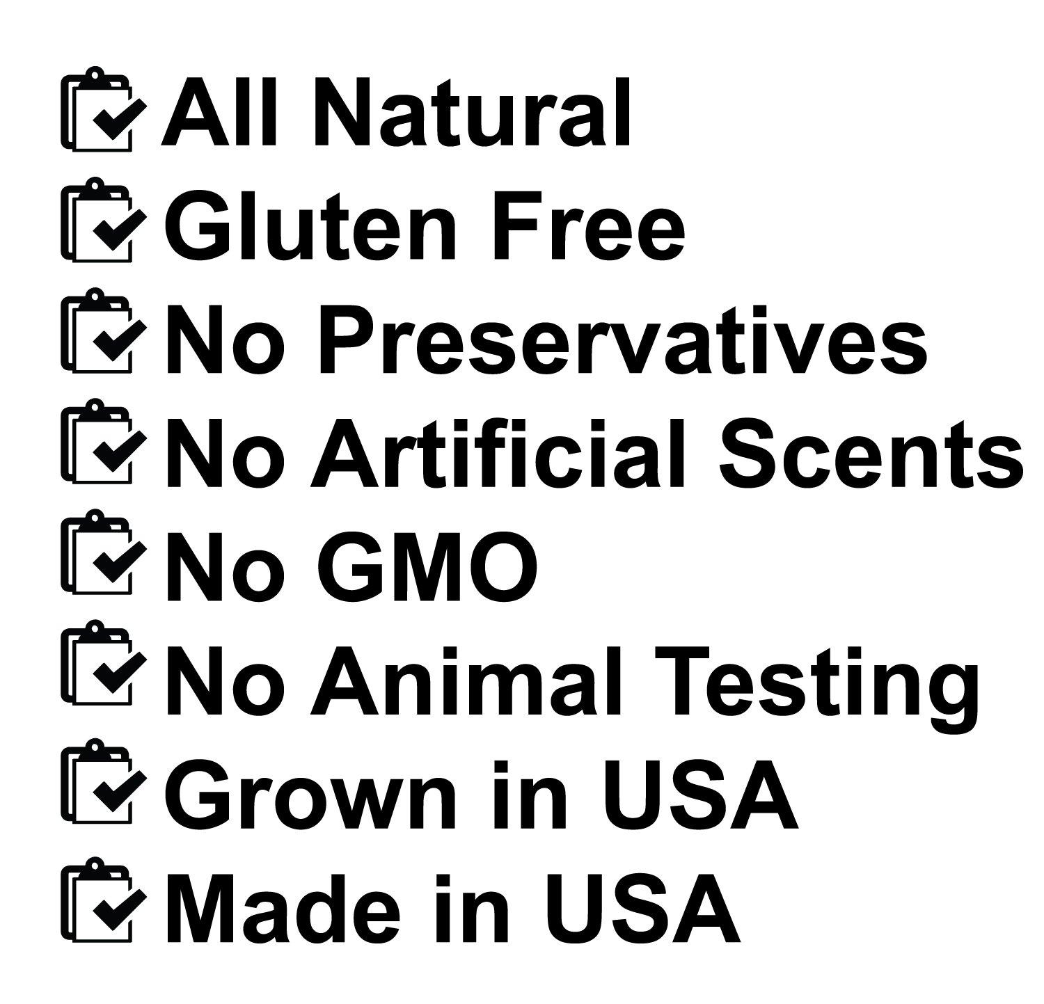 Boolavard Boolavard® 2 Pack Silicone Makeup Sponge [Washable] Premium Quality - Gel Foundation Makeup and Puff BB - Best Silisponge Cosmetic Beauty Tools Blender [Clear]