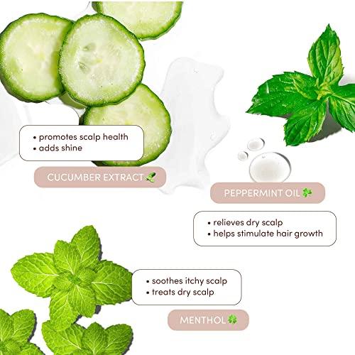 MIZANI MIZANI Scalp Care Dandruff Shampoo | Pyrithione Zinc | Cleanses Hair & Scalp | For Curly Hair | 16.9 Fl Oz