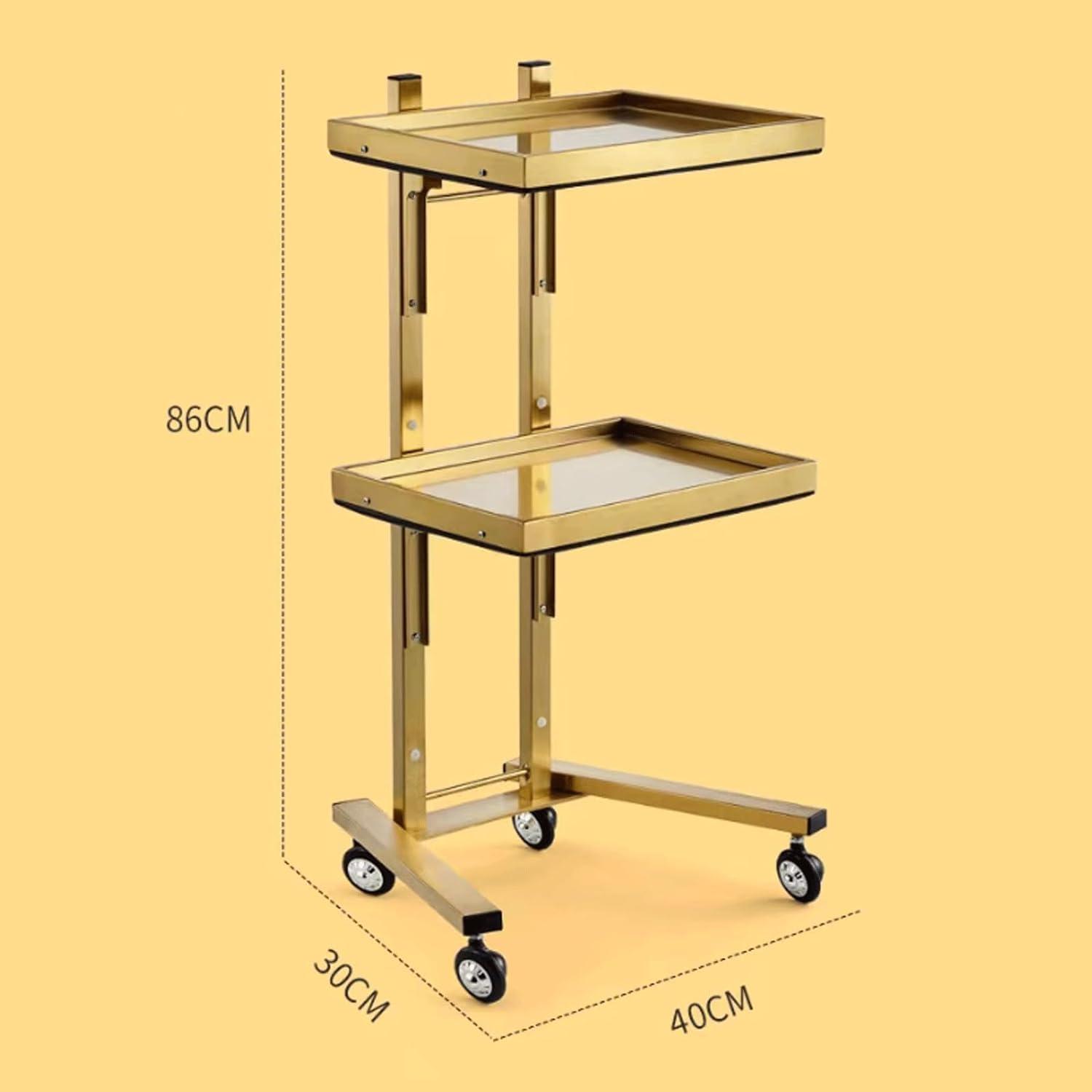 YPDJVLTI YPDJVLTI Salon cart Salon Rolling Cart Metal Salon Cart Foldable Trolley Cart 2 Tier Storage Utility Cart with Casters Portable Salon Trolley Portable