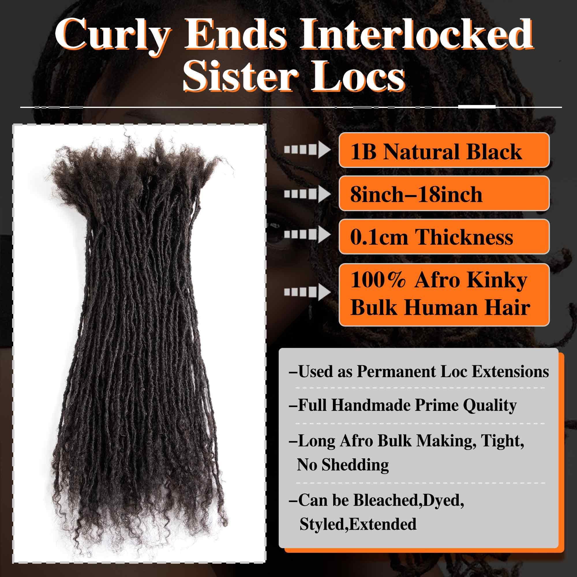 originea Originea 8-18 Inch 0.2 Thickness Curly Tips Interlocked sisters Locs 100% Real Human Hair Micro loc Extensions Permanent Dreadlock Extensions Natural Looking Locs (1B# 0.2cm, 14 Inch 30 Strands)