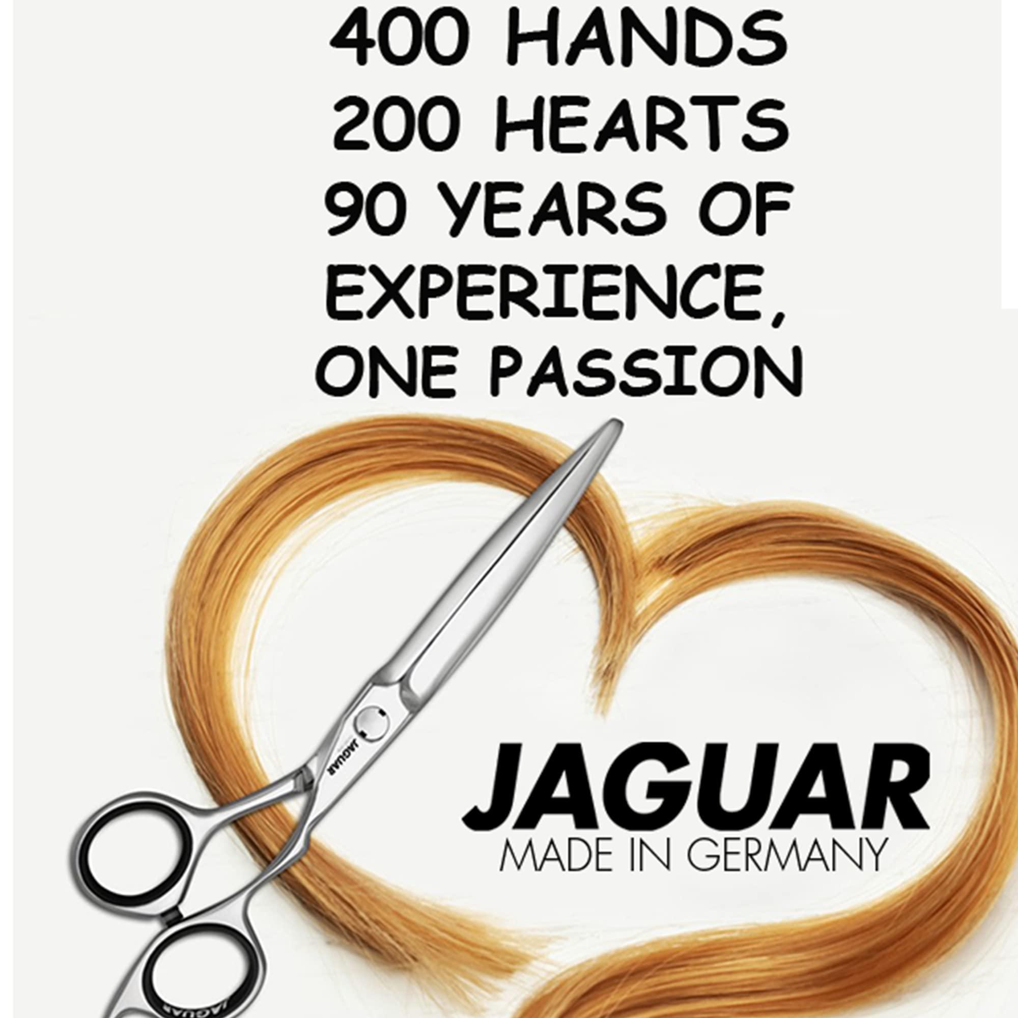 JAGUAR Jaguar Pre Style Ergo P Hairdressing Scissors, 6-Inch Length, 0.0379 kg