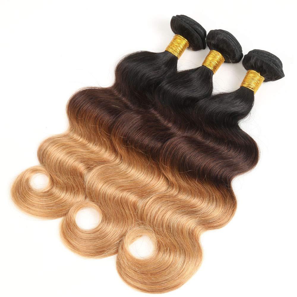 InsQueen Ombre Blond Bundles with Closure Brazilian Virgin Human Hair #1B/4/27 Body Wave Blond Human Hair Bundles with 4x4 Lace Closure Hair Extension (12 14 16+10 Inch)