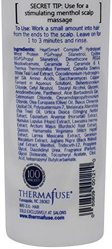Thermafuse Thermafuse Thermadan Dandruff Conditioner 8oz