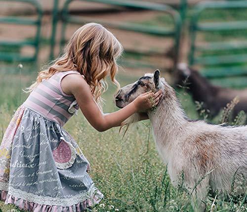 Caprina by Canus Caprina by Canus Bar Soap 3.2 Oz 6 Pack With Fresh Canadian Goat Milk Vitamin A B3 Potassium Zinc and Selenium 6, Shea Butter, 1 Count