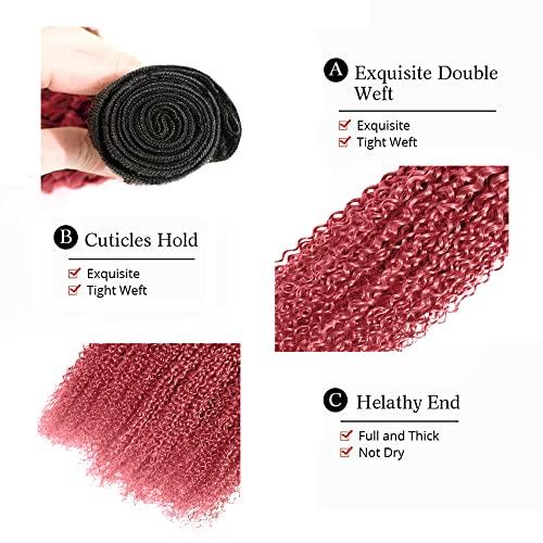 NiegMeag Pink Bundles Human Hair Pink Human Hair Wet And Wavy Human Hair Kinky Curly Bundles 26 28 30 Inch Double Weft 2 Tone Black And Pink Virgin Human Hair Curly Black And Pink Extension