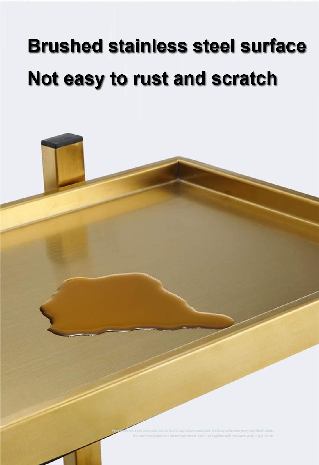 FLEAGE FLEAGE Professional Service Trolley Salon Tray Beauty Trolley, Stainless Steel Rolling Tool Cart with Double Trays, Used in Beauty Salons, Tattoos,Gold (Color : Silver)