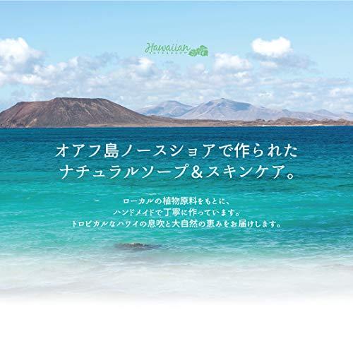 Hawaiian Bath & Body HAWAIIAN BATH & BODY Plumeria Bar Soap, 3.25 OZ