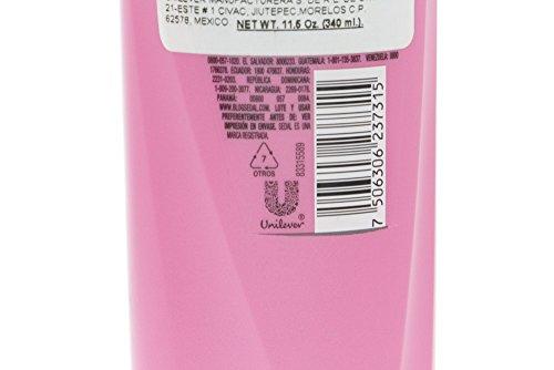 Sedal Sedal Ceramidas Shampoo 340ml - Sedal Ceramidas Champu (Pack of 6)