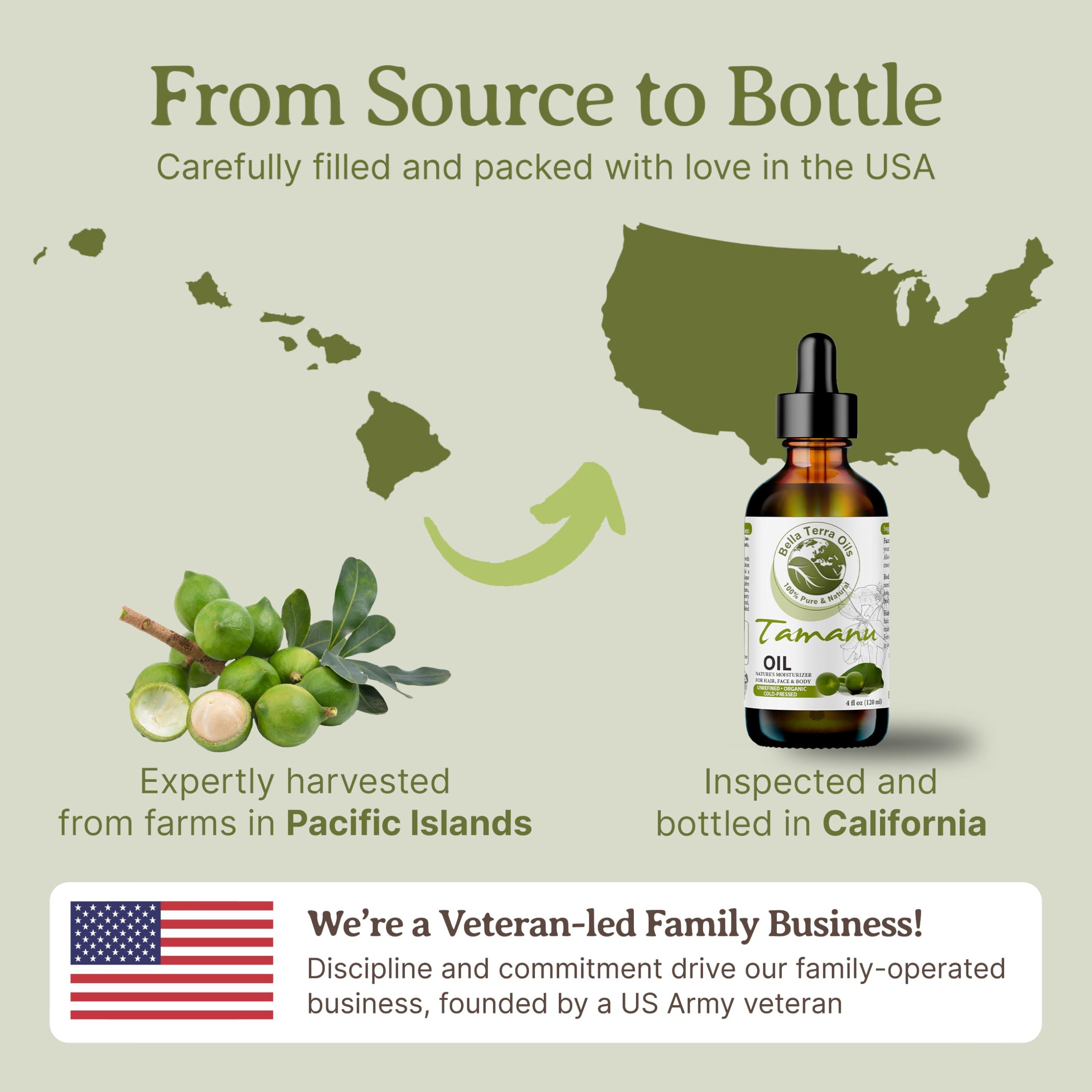 Kaja Kaja Winged Eyeliner & Pen - Wink Stamp + Wink Stamp Wing Eyeliner Pen & Stamp Long Bundle