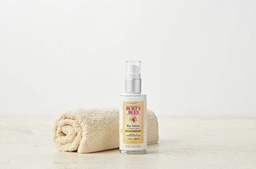 Burt's Bees Burt's Bees Skin Nourishment Day Lotion with SPF 15 for Normal to Combination Skin, 2 Oz (Package May Vary)