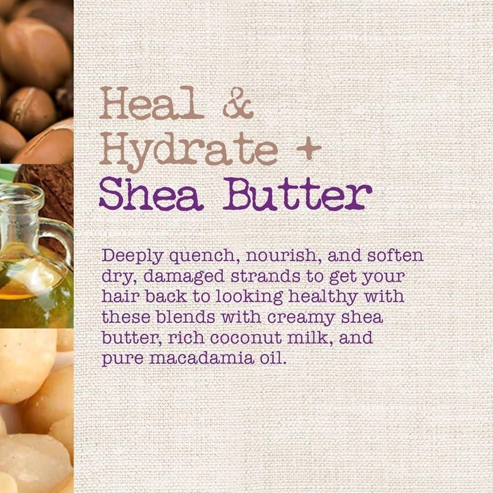 Maui Moisture Maui Moisture Shea Butter Hair Mask 12 Ounce Jar (Heal/Hydrate) (354ml) (3 Pack)