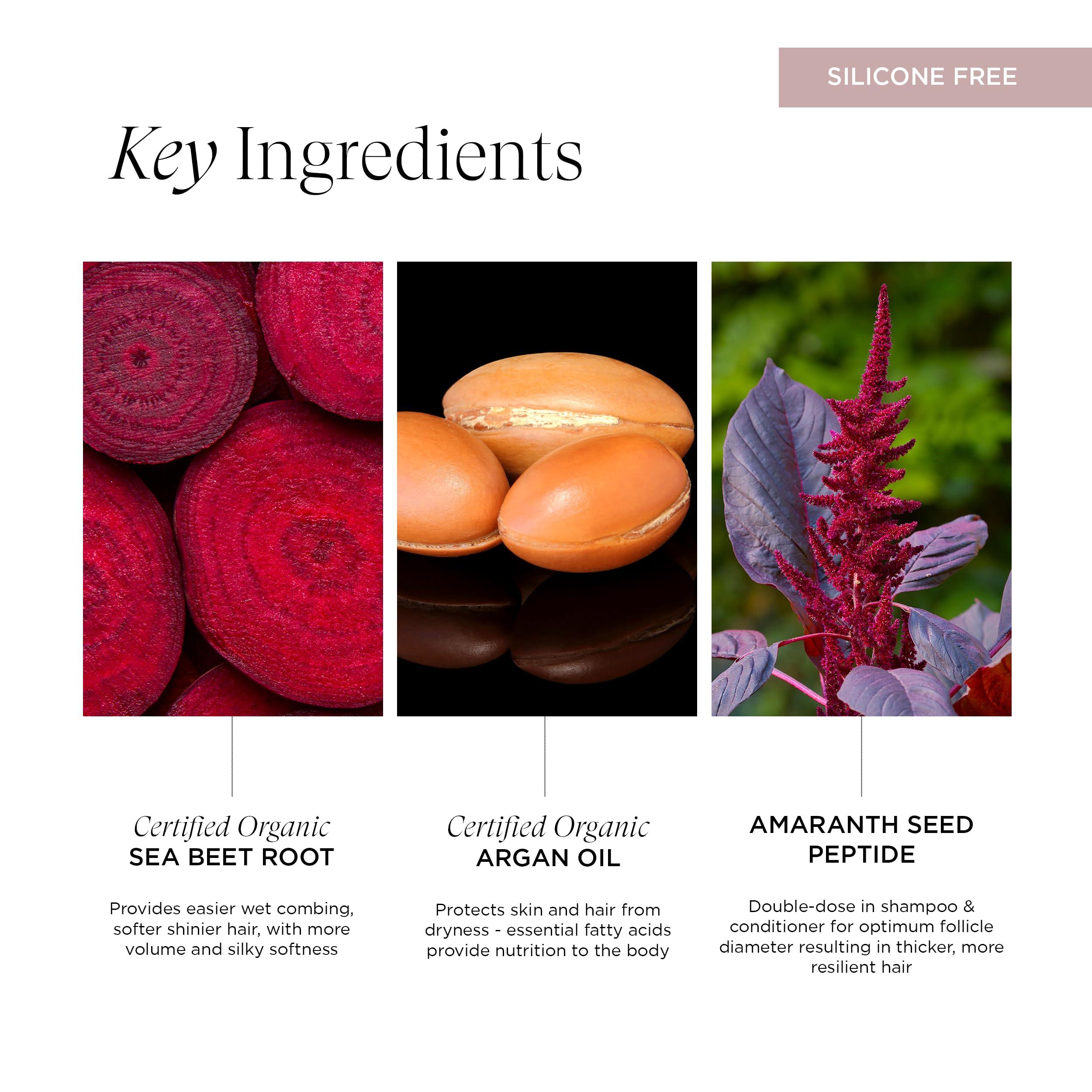 Intelligent Nutrients Intelligent Nutrients Amplifi-hair Volumizing Conditioner, Weightless Hydration and Detangling for Fine Hair, Vegan Conditioning Formula, 8 Oz