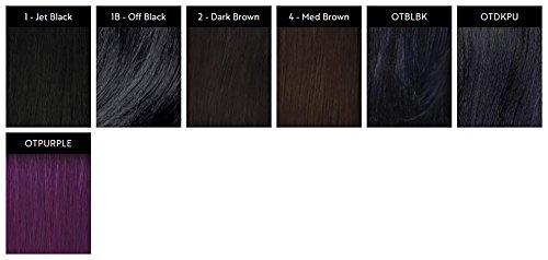 Freetress FreeTress Equal Silk Base Lace Front Wig - TRINA (1 Jet Black)