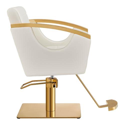 Dir Dir Salon Styling Chair Hair Salon Stylist Chair w/Gold Frame Bello