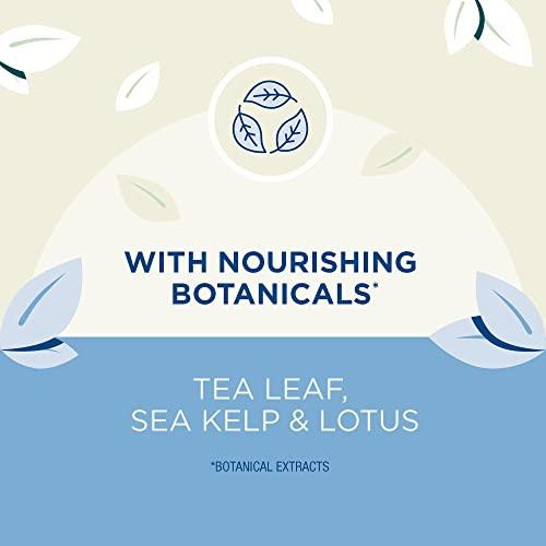 Coppertone Coppertone Pure & Simple For Face SPF 50 Sunscreen Lotion, Zinc Oxide Mineral Sunscreen Lotion, Water Resistant, Hypoallergenic, Travel Size 2 Ounce