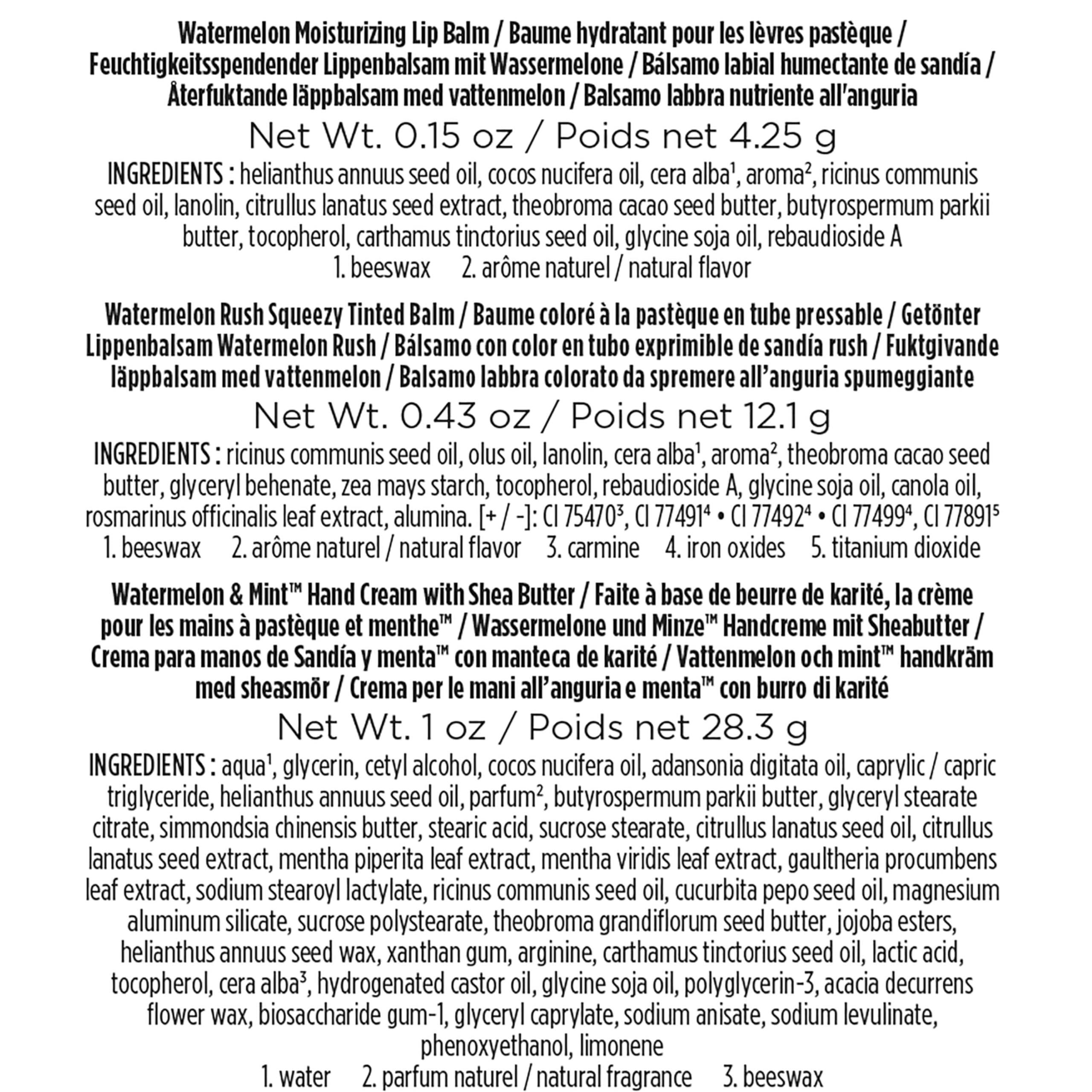 Burt's Bees Burt's Bees, 3 Lip Care Products, Squeezy Trio Tinted Lip Balm Set, Berry Sorbet, Sweet Peach & Watermelon Rush