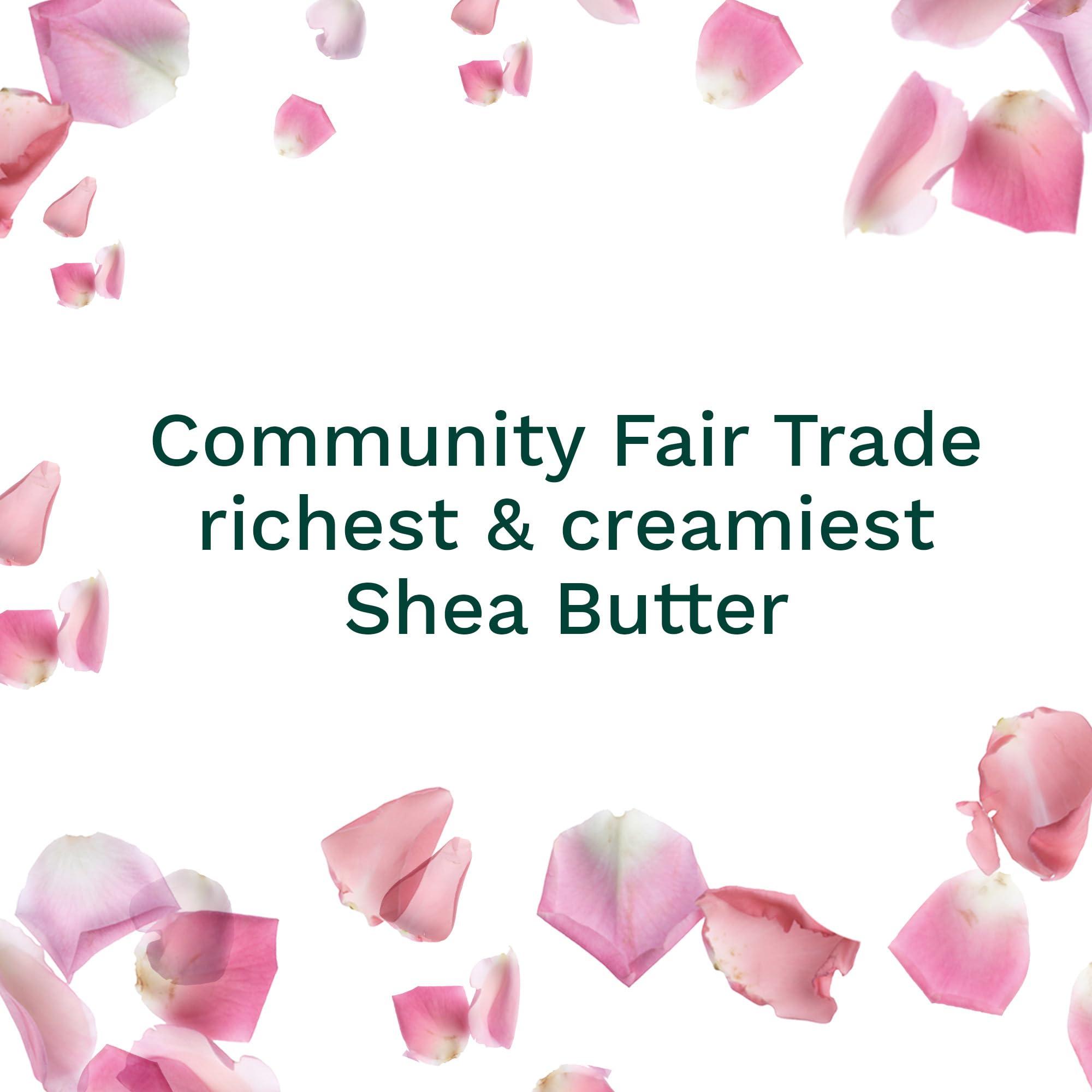 The Body Shop The Body Shop British Rose Body Butter  Nourishing & Moisturizing Skincare for Normal Skin  Vegan  6.75 oz