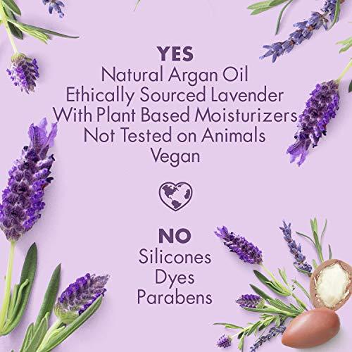 Love Beauty And Planet Love Beauty And Planet Body Lotion Argan Oil and Lavender, 13.5 Ounce (Pack of 3)