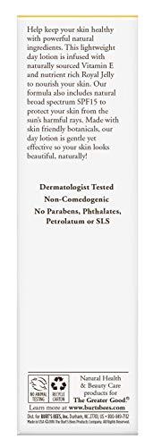 Burt's Bees Burt's Bees Skin Nourishment Day Lotion with SPF 15 for Normal to Combination Skin, 2 Oz (Package May Vary)