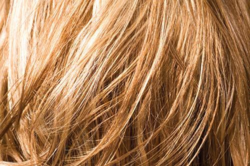 SHEGLAM SHEGLAM SKin-Focus Full Coverage Powder Foundation Oil-Control Lightweight Face Pressed Powder Makeup-Saddle