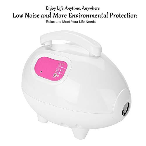 Salmue Nano lonic Face SPA Stea, Micro Nano Hydrating Oxygen Misting Facial Sauna SPA Machine for Skin Rejuvenation, Steamer Humidifier Beauty Device (US)