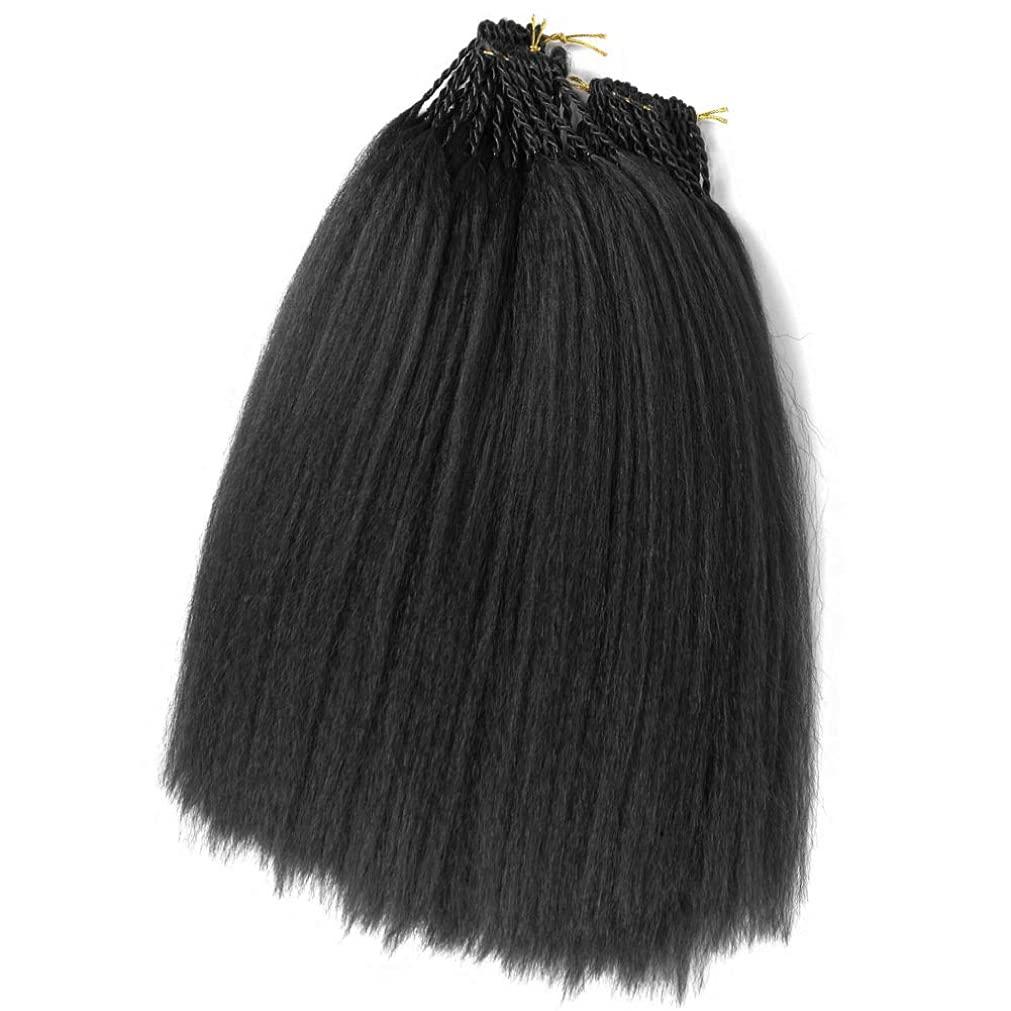 Allyreetress 6 Packs 20 Inches Kinky Straight Crochet Hair with Adjustable Loop Synthetic Pre-looped Yaki straight Crochet Braiding Hair Extensions for Black Women 1B# Black