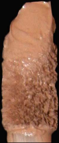 COSMINOLOGY FIX YOUR KARMA! KOSMIC KONCEALER - SMOOTH MATTE UNBEATABLE CONCEALER COVERAGE AND CORRECTION OF DARK CIRCLES, REDNESS, BLEMISHES, FINE LINES AND PORES. LONG WEARING AND CREASE PROOF