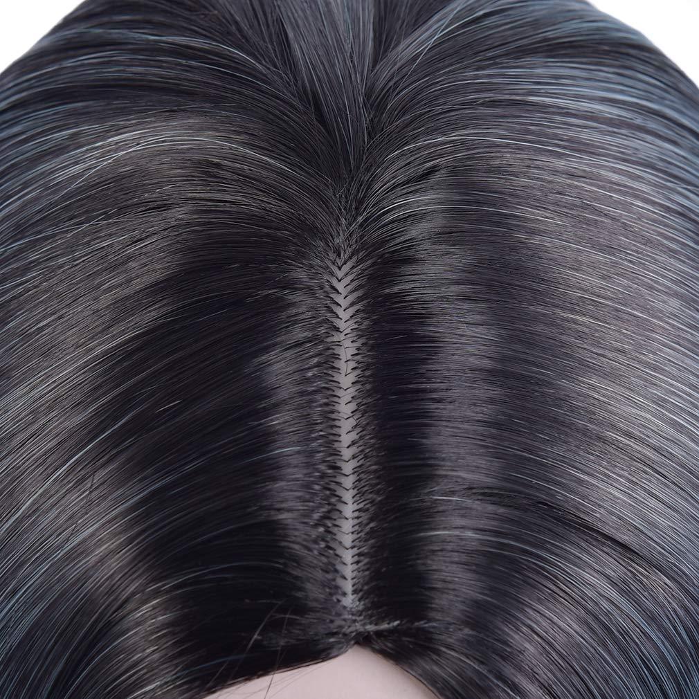 BERON BERON Black to Blue Wigs Straight Long Wig for Women 24'' Wigs Middle Part Cosplay Wig Halloween Party or Daily Use Wig Cap Included