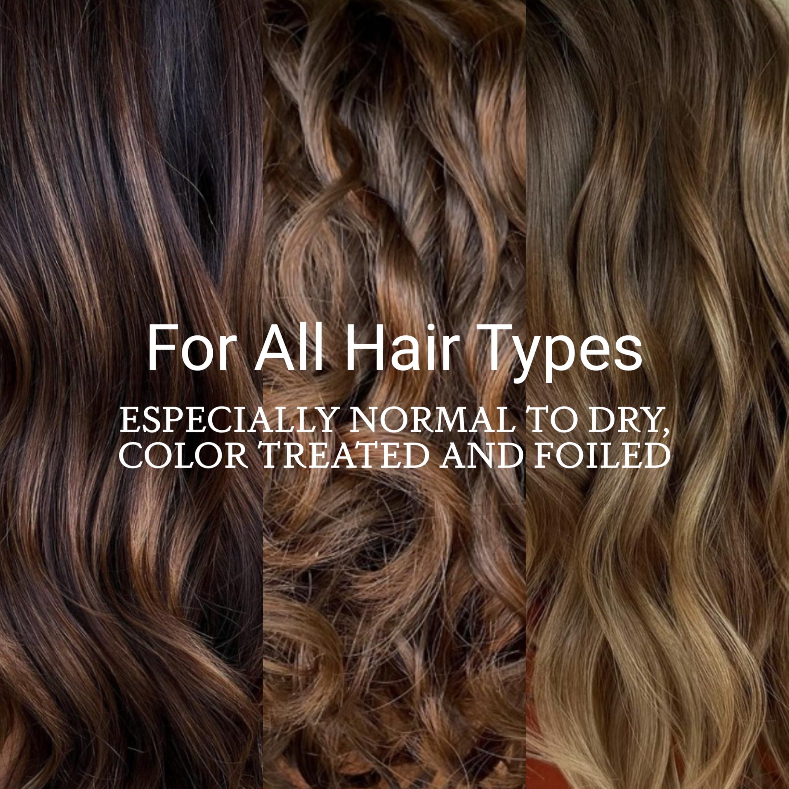 Loma Hair Care Loma Hair Care Moisturizing Shampoo & Treatment Duo, 12 Fl Oz each