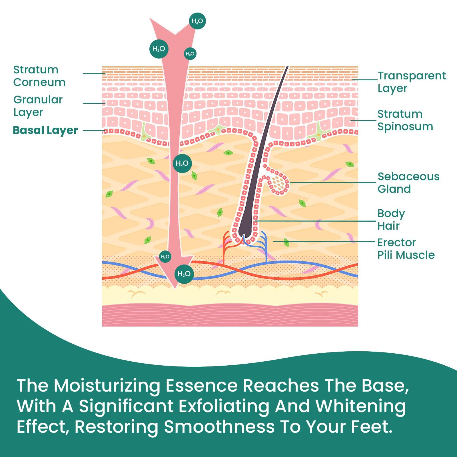 Welnove Welnove Moisturizing Heel Socks - 2 Pairs Aloe Vera Extract Infused Gel Lining for Dry Feet - Cracked Heel Repair Treatment - Cotton Socks for Women Men Foot Care (Pink, Extra Large)