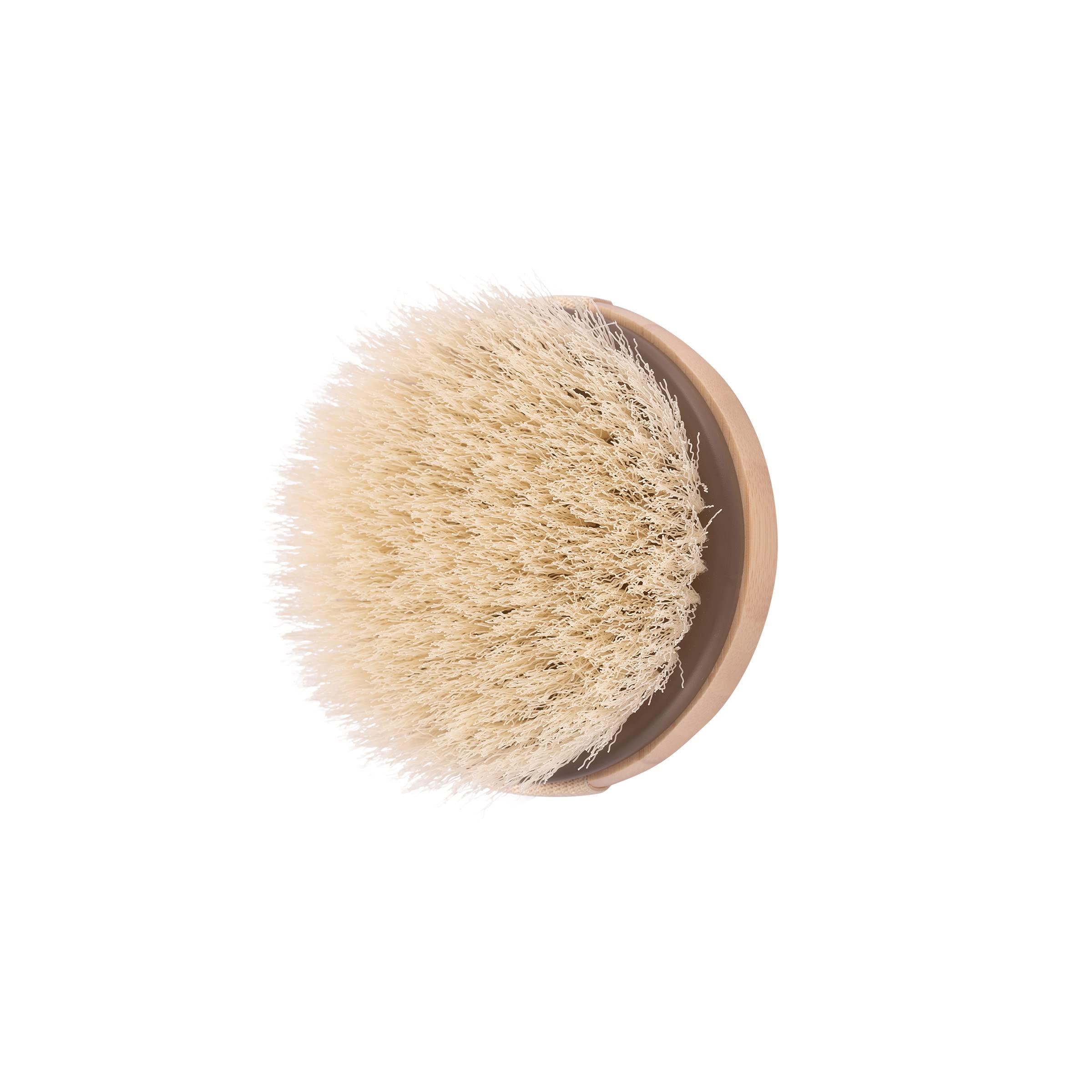 EcoTools EcoTools Dry Body Brush, for Post Shower & Bath Skincare Routine, Removes Dirt & Promotes Blood Circulation, Helps Reduce Appearance of Cellulite, Eco-Friendly, Vegan & Cruelty-Free, 1 Count