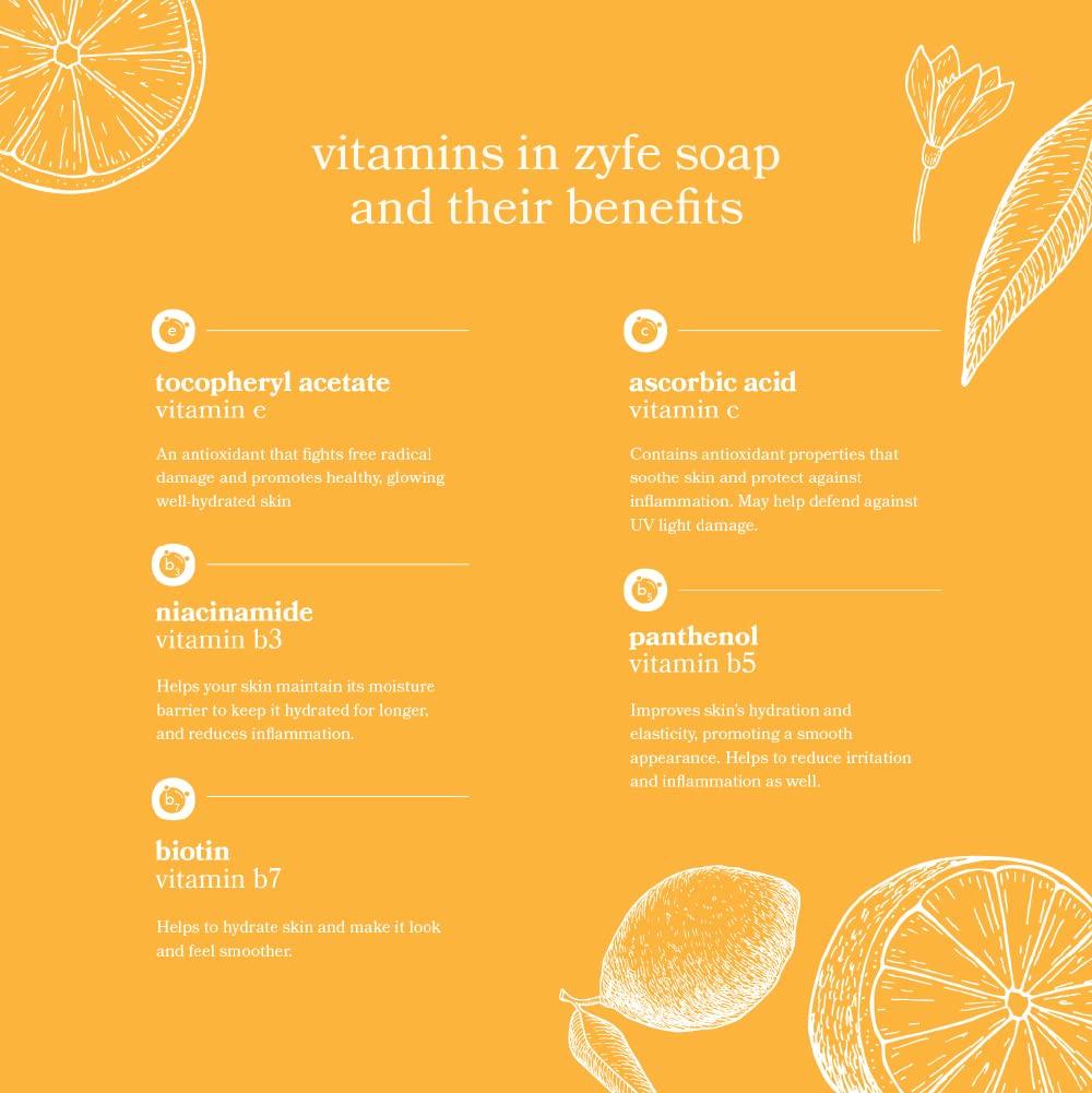 ZYFE ZYFE Eco Friendly Hand Soap Refills Family Pack - Pland Dervied Liquid Handsoap With 5x Vitamins - 2 12oz Pump Dispenser Bottles and 1 64oz Refill - Citrus