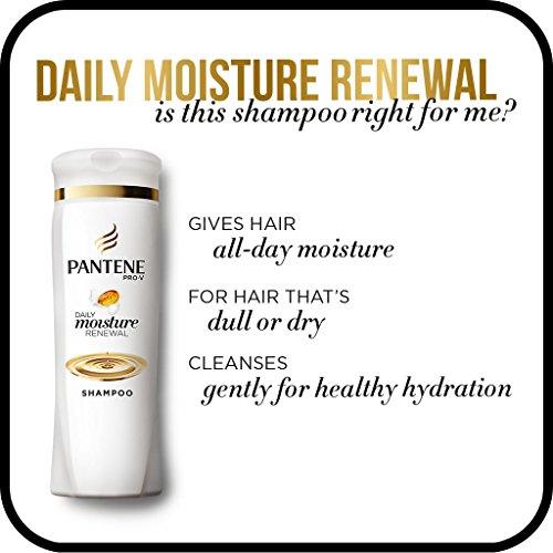 Pantene Pantene Pro-V Shampoo, Daily Moisture Renewal, 12.6 Ounce