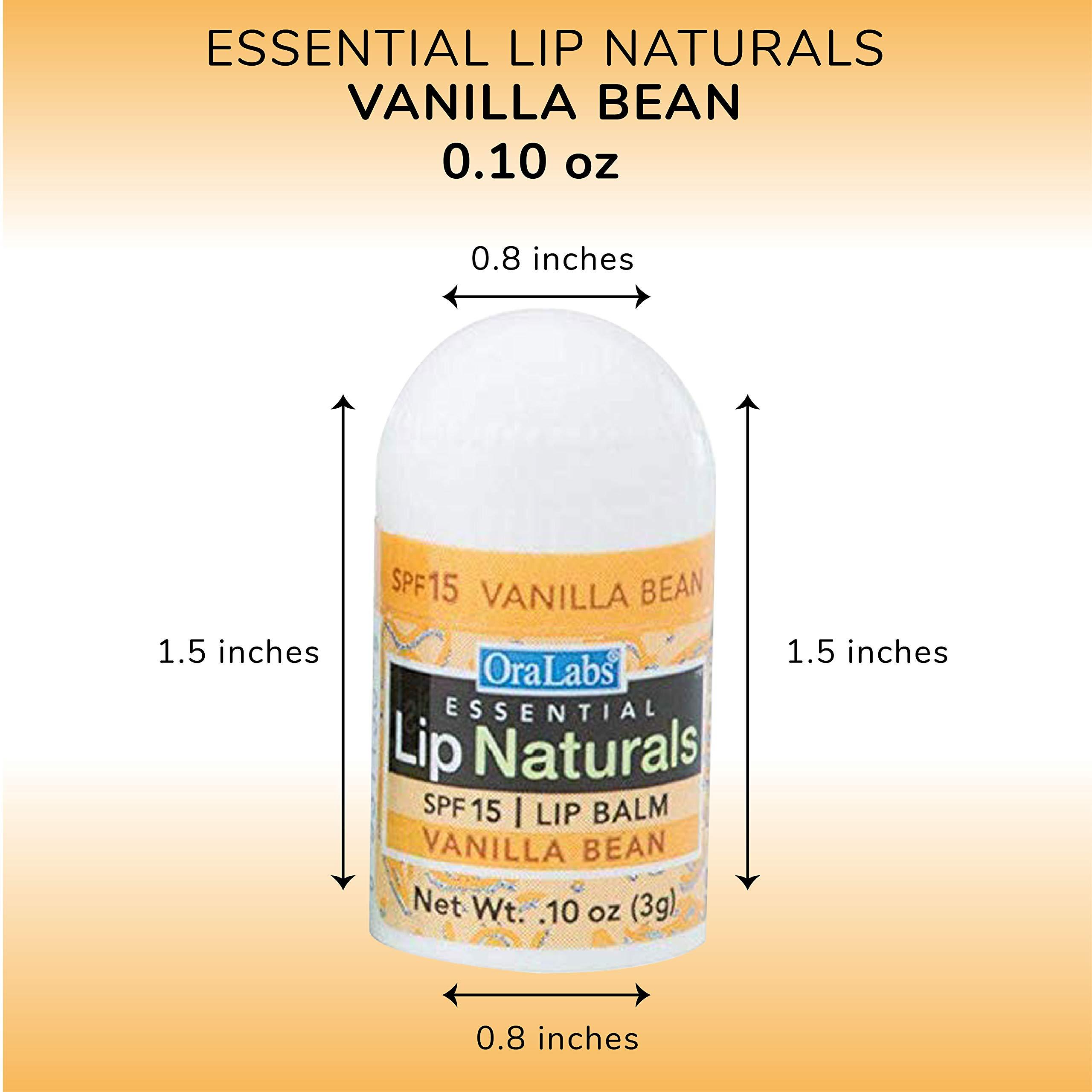 CHAP-ICE Lip Naturals | Assorted Mini Lip Balm with Sunscreen (SPF-15) | Made in USA | 12-Count Pack with Bing Cherry, Tea Tree Mint, and Vanilla Bean Flavors (0.10oz/3g Each)