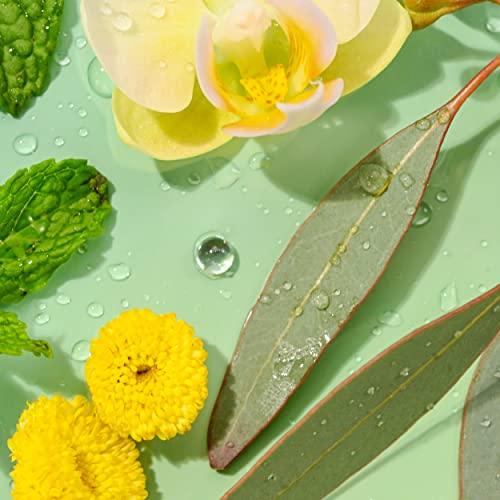 eos eos Chill Vibes Lip Balm Variety Pack- Chamomile, Eucalyptus Mint, Sweet Mint & Vanilla Bean, All-Day Moisture Lip Care Products, 0.14 oz, 4-Pack