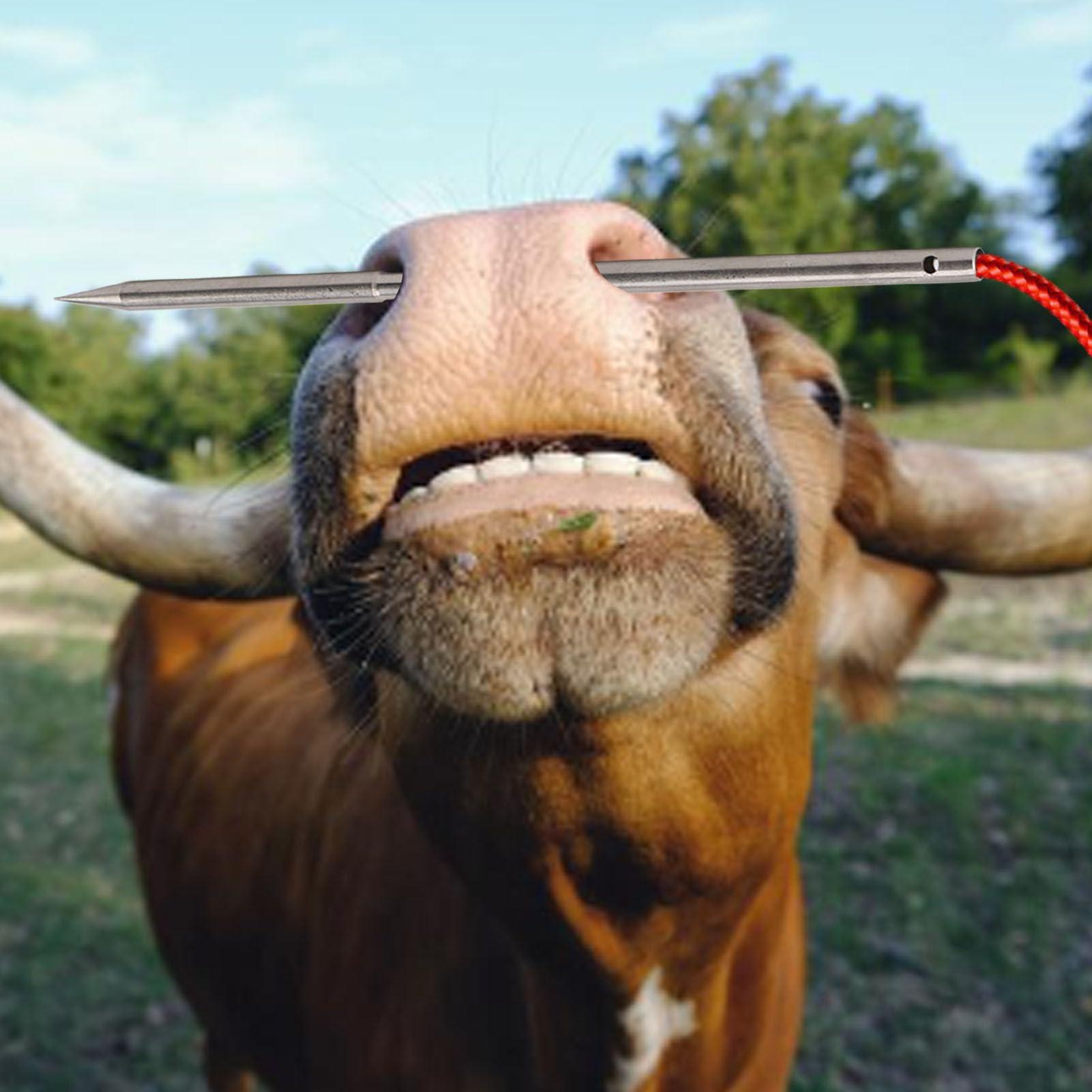 MAVIS LAVEN Cow Nose Piercing Needle, 304 Stainless Steel Cattle Nose Piercing Needle with Hole for Farm Home Cattle Nose Piercing (M)