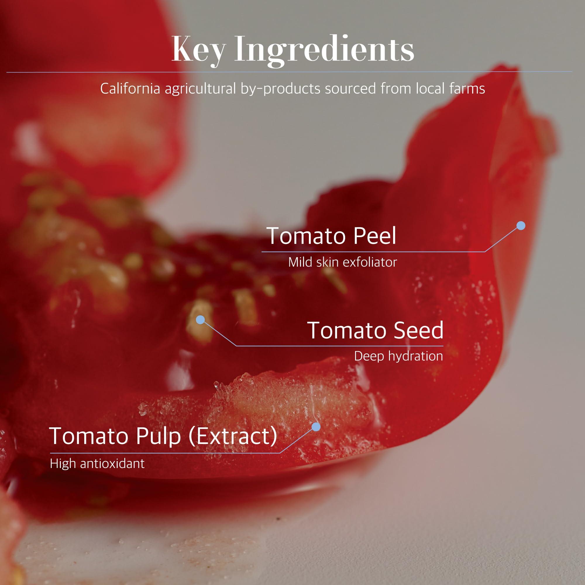 FOUNTAIN OF WATERS CALIFORNIA Fountain of Waters Hand Wash 300ML - Tomato Garden Collection